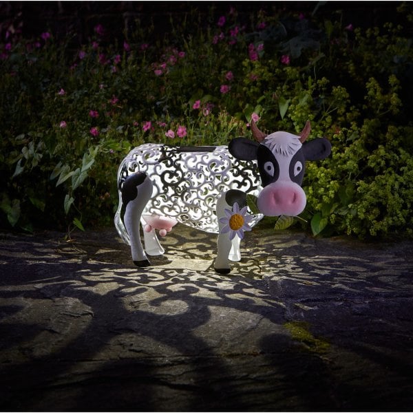 Solar Koe Daisy – 24 cm