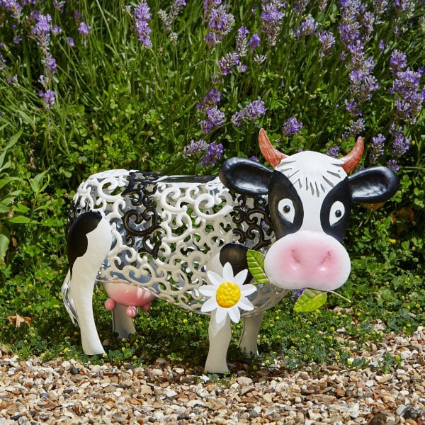 Solar Kuh Daisy – 24 cm
